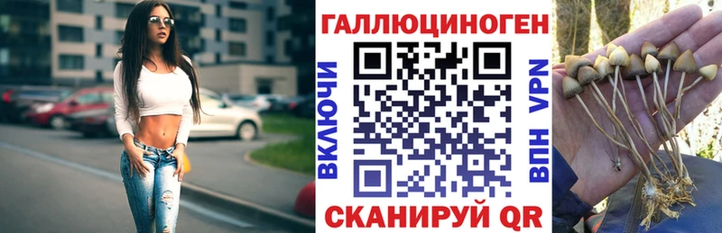 Купить закладки  Фролово  Псилоцибиновые грибы мицелий 